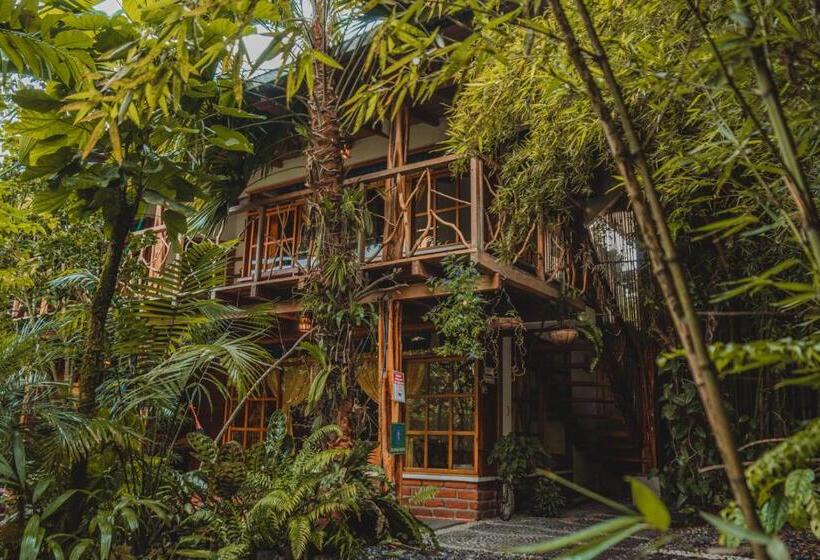 فندق صغير Hostal Las Palmas