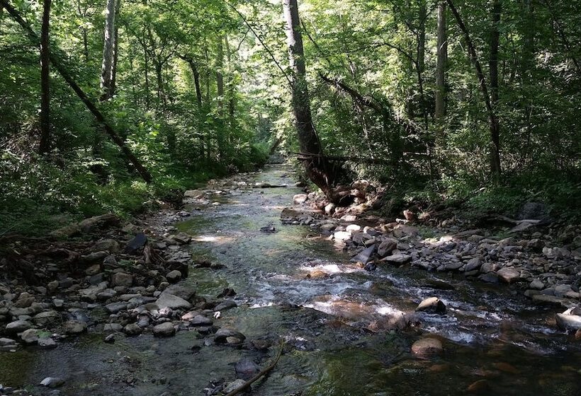 旅馆 Vine Cottage Inn