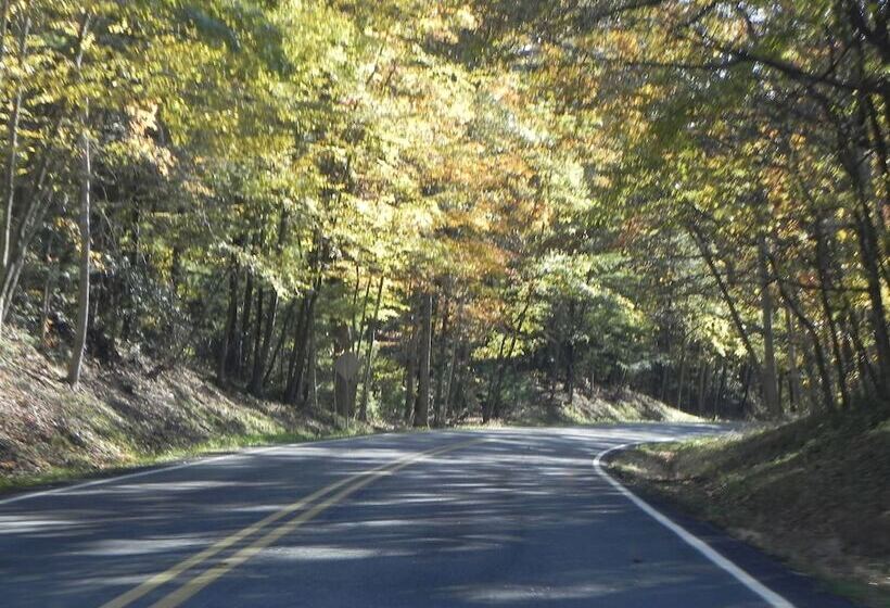 旅馆 Vine Cottage Inn