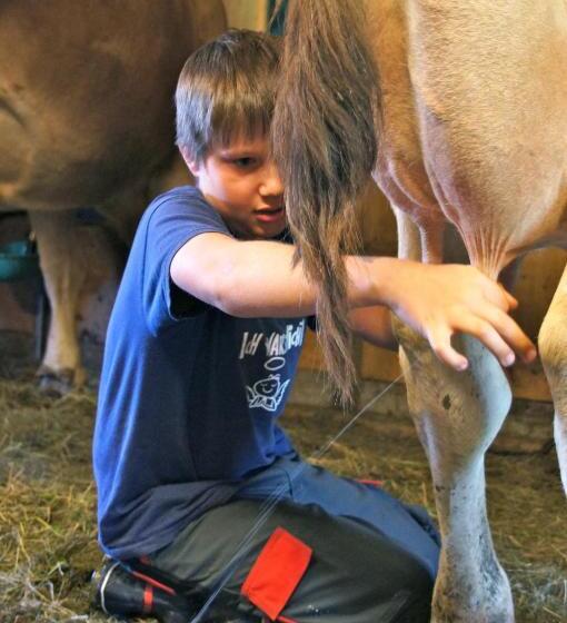 בית מלון כפרי Kinderbauernhof