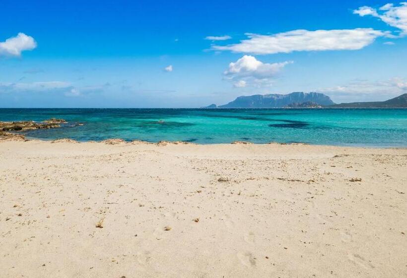 Le Dimore Di Nettuno   Happy Rentals