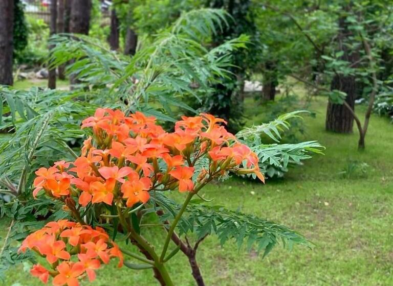 پانسیون Vila Dunavski Raj