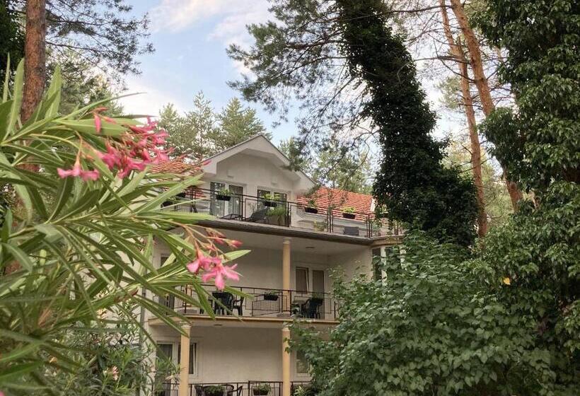 پانسیون Vila Dunavski Raj