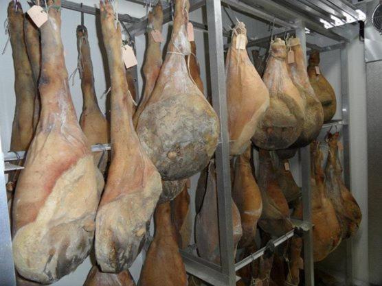 فندق Terra Di Michelangelo