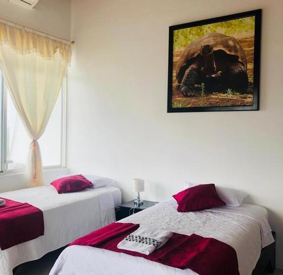 پانسیون Hostal Las Fragatas