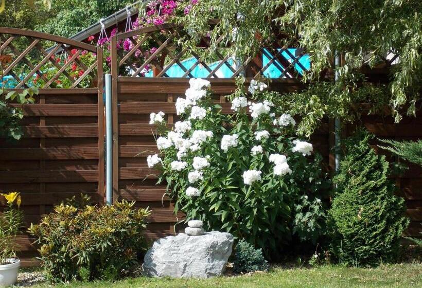 پانسیون Penzion Aida Ostrava