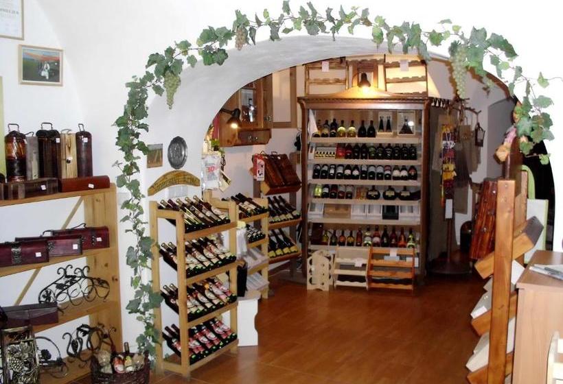 پانسیون Penzion Tašner