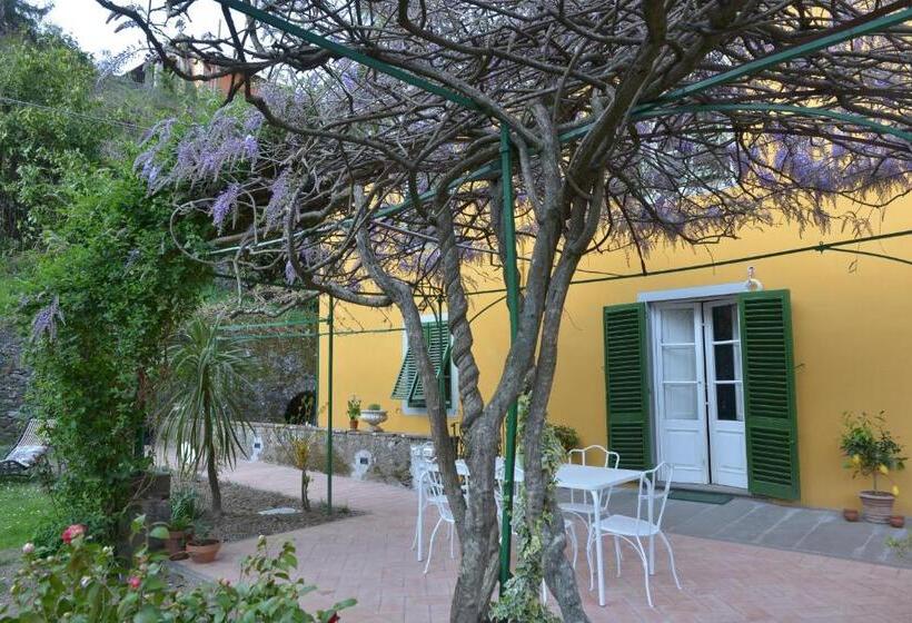 بنسيون Villa Lucchesi