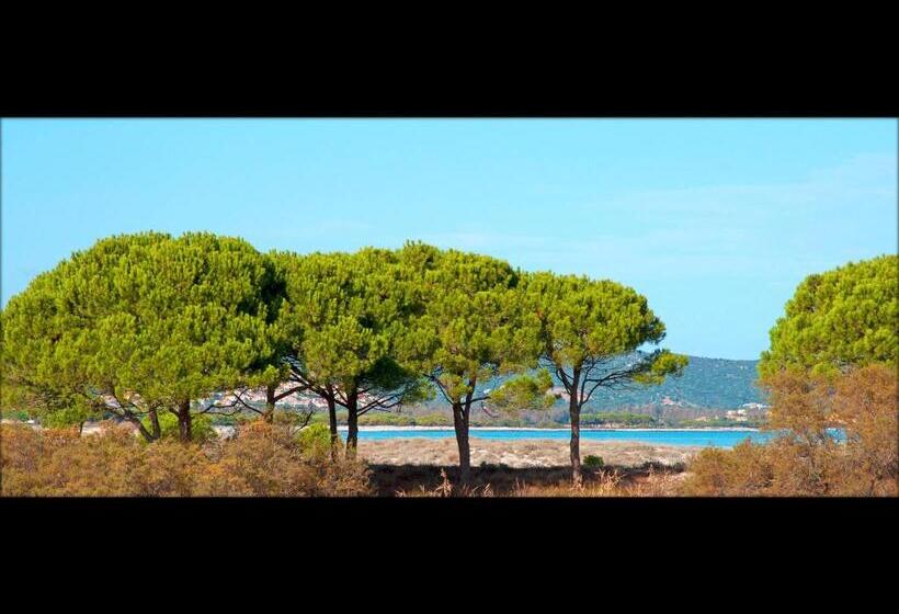 Residenze Mare E Pineta