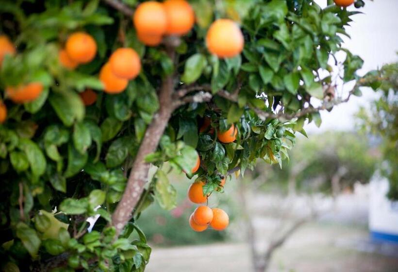 هتل Monte Dos Parvos