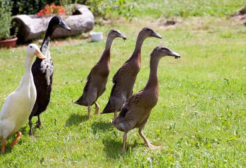 펜션 Landhotel Trakehnerhof