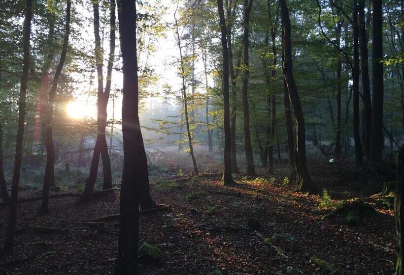 膳宿费 Penzión Modrý Dom