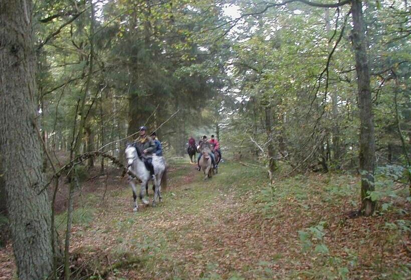 پانسیون Reiterhof Wollesen