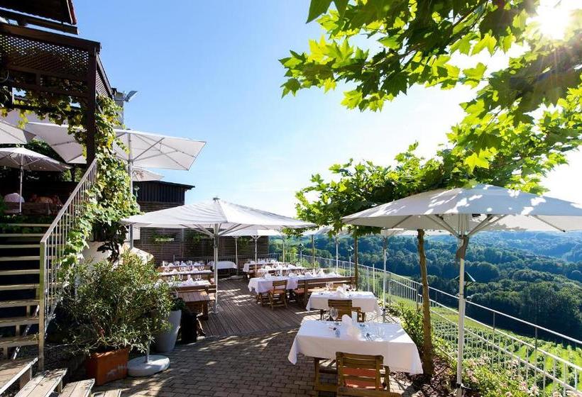 پانسیون Weingut Skoff Original