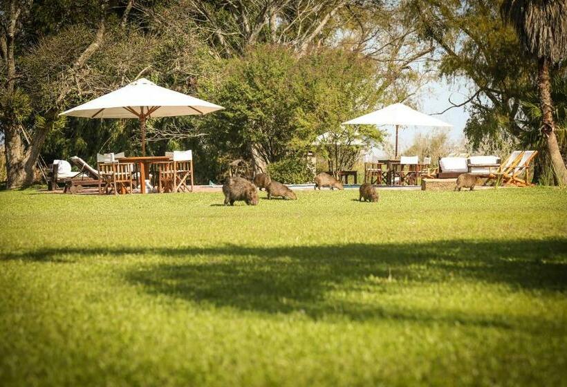 Общежитие Aguapé Lodge