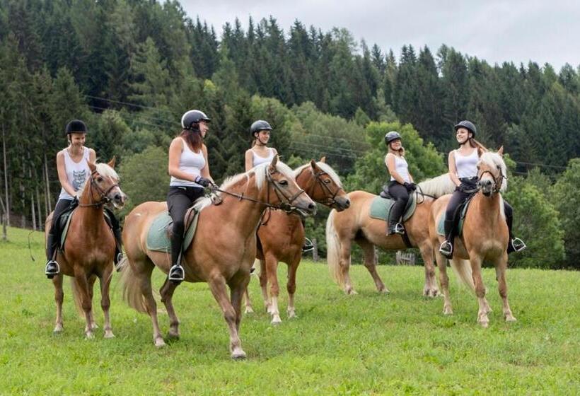 旅馆 Landgasthof Zum Hammerschmied