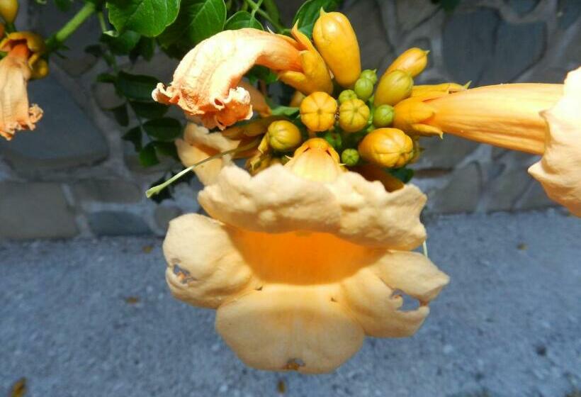 ホテル Il Vecchio Frantoio