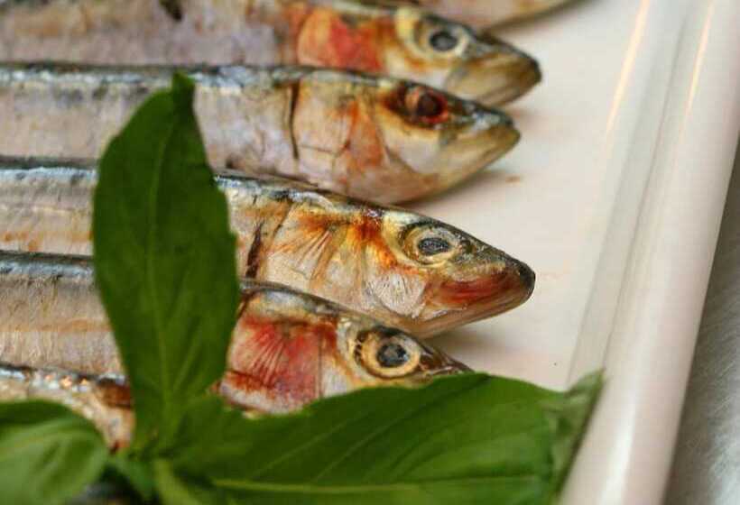 Общежитие Kings Arms