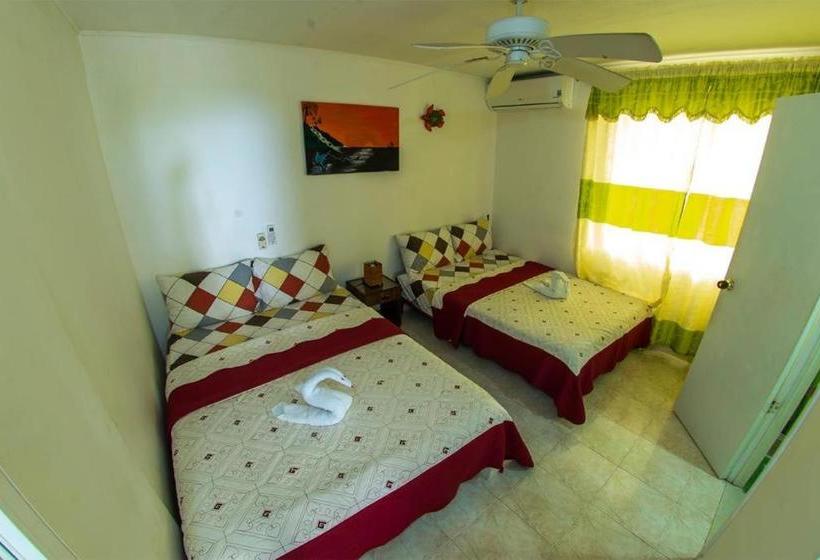 هاستل Posada Martha´s Place