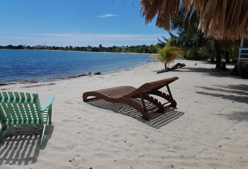 فندق صغير Village Inn