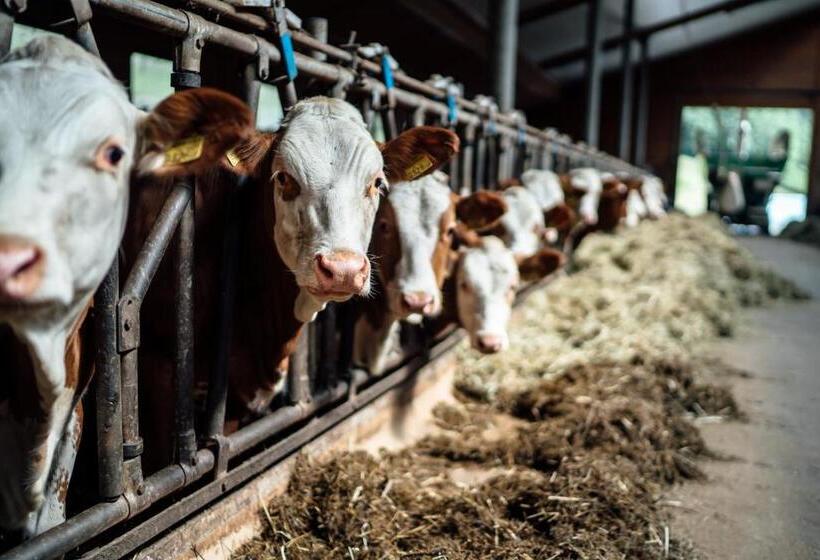 בית מלון כפרי Prechtlhof In Flachau