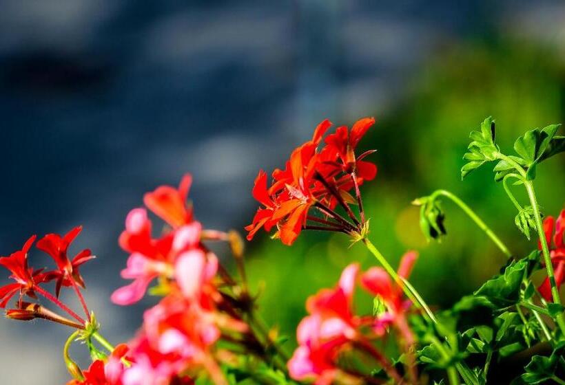 پانسیون Gästehaus Genf