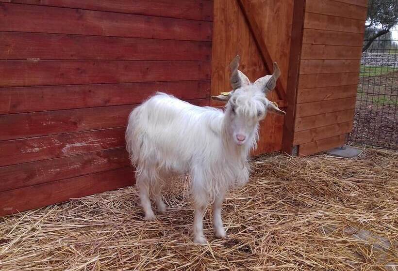 בית מלון כפרי Agriturismo Specchiarussa