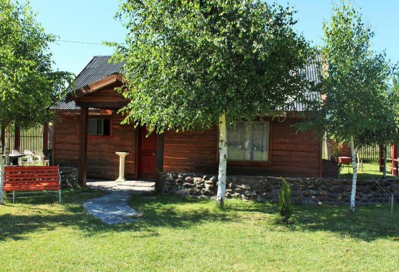 פנסיון Cabañas Los Tilos