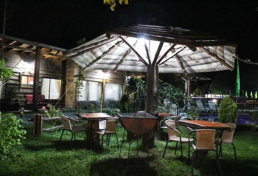 פנסיון Cabañas Los Tilos