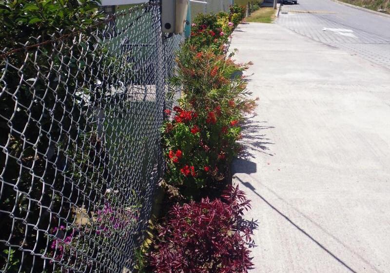 پانسیون Residencial El Viajero