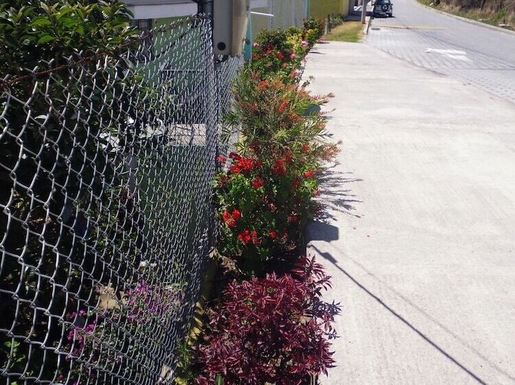 پانسیون Residencial El Viajero