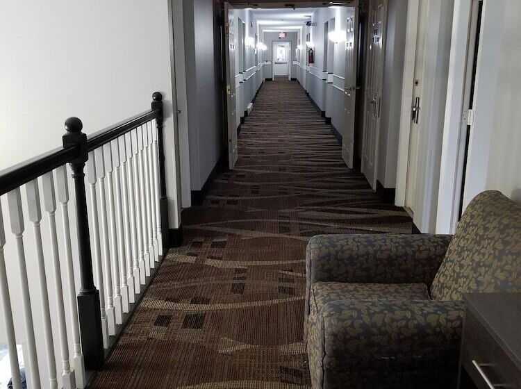 فندق صغير Adams Inn And Suites