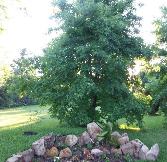 هاستل Hostal Canela