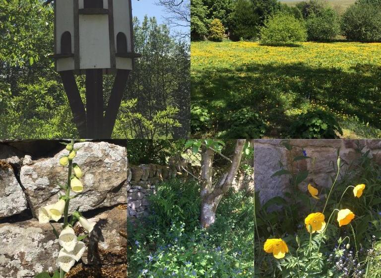 בית מלון כפרי Posh Huts Farmstay