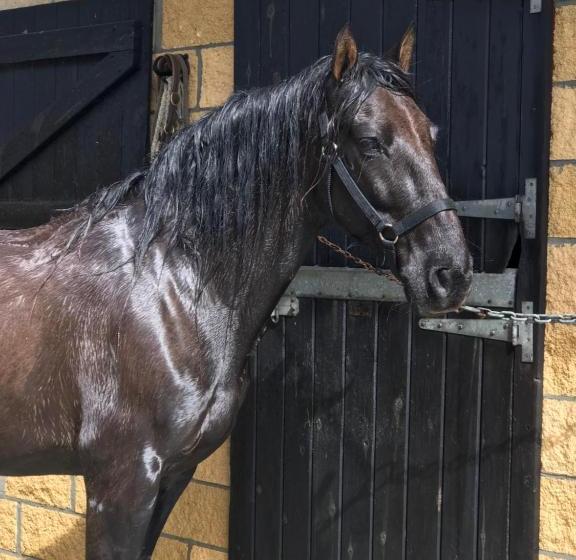 هتل Agroturismo Anziola