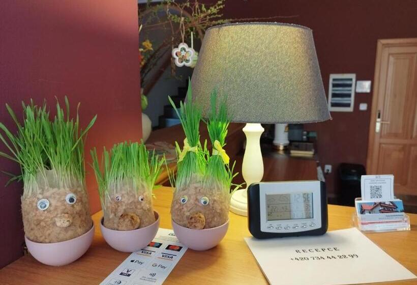 پانسیون Harrachovská Hacienda