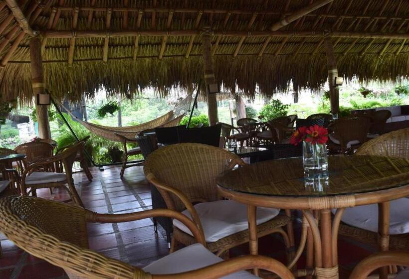 پانسیون Palomino Breeze Hostal