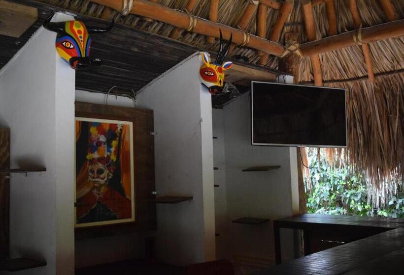 پانسیون Palomino Breeze Hostal