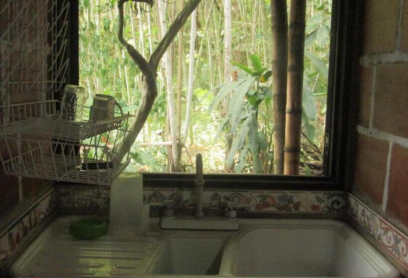 هاستل La Posada Del Cucú