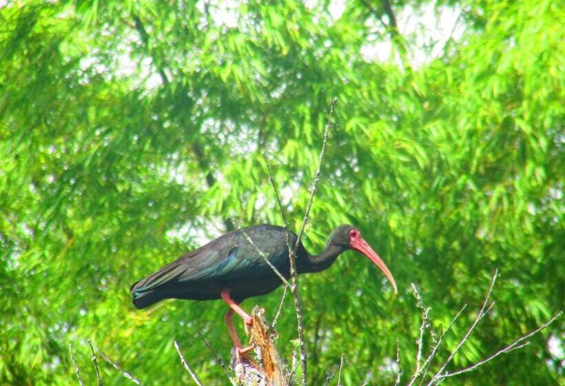 هاستل La Posada Del Cucú