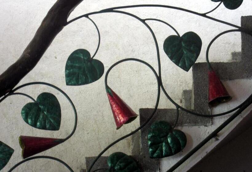 هاستل La Posada Del Cucú