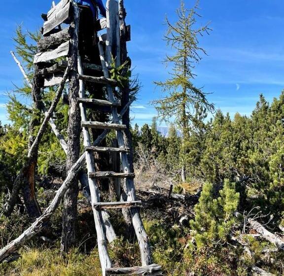 ユースホステル Alpengasthof Grobbauer