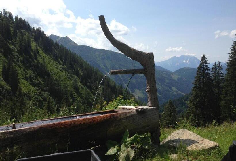 ユースホステル Alpengasthof Grobbauer