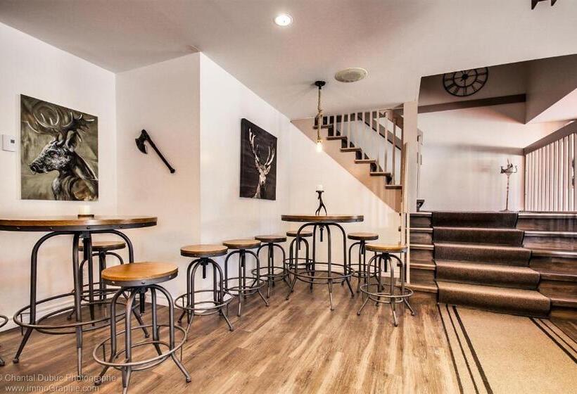 ユースホステル Auberge Motel Drakkar