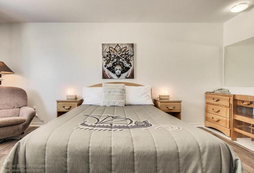 ユースホステル Auberge Motel Drakkar