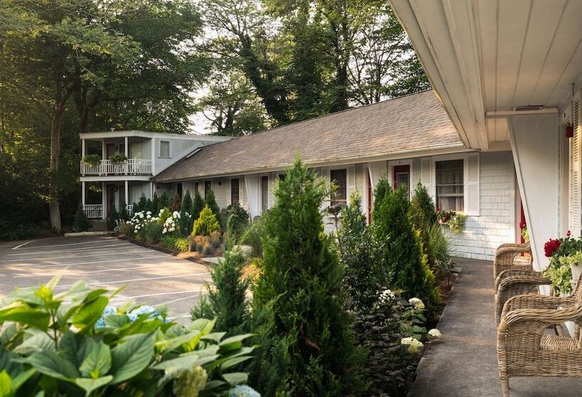 旅馆 Treehouse Lodge
