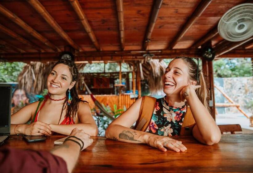 پانسیون Kasakolà