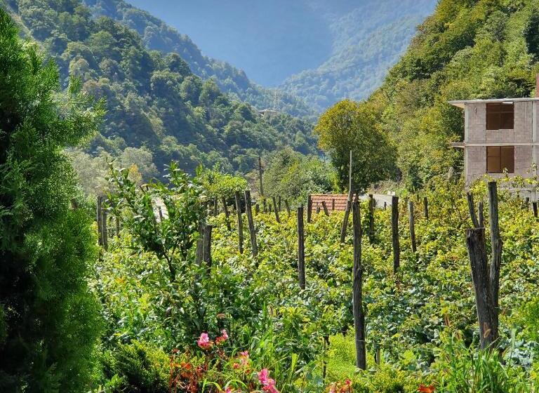 پانسیون Sofia