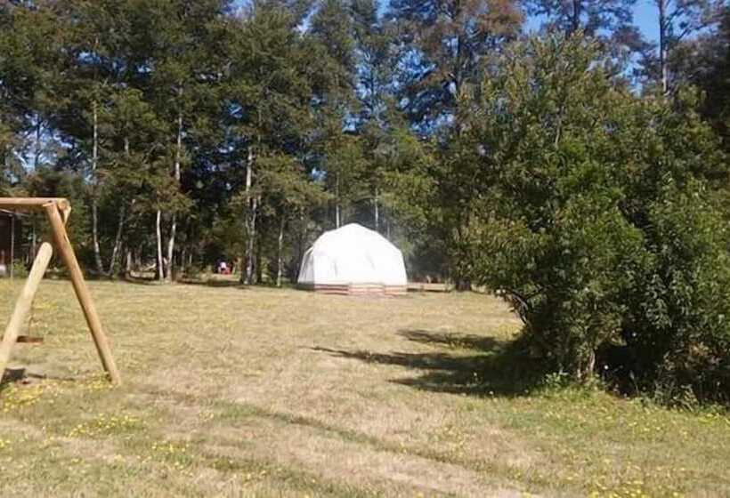 فندق صغير Hosteria Y Camping Del Bosque Pucón