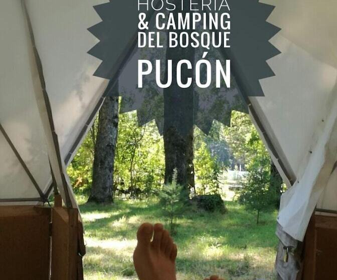 فندق صغير Hosteria Y Camping Del Bosque Pucón